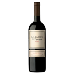 CATENA DV L'ESPLORATORE SALTA