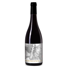 PIENSA REMINISCENCE VI