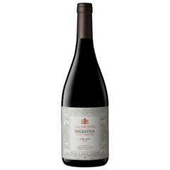 SALENTEIN NUMINA PINOT NOIR