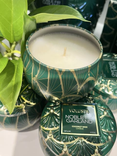 Mini vela lata 25h Noble Fir Garland