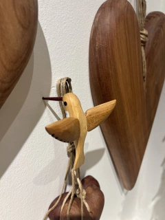 Beija flor P asa serrilhada