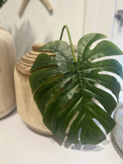 Folha Costela de Adão Escura - comprar online