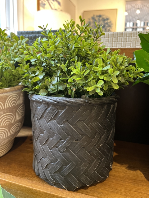 Cachepot cimento preto