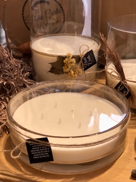 Vela bacia