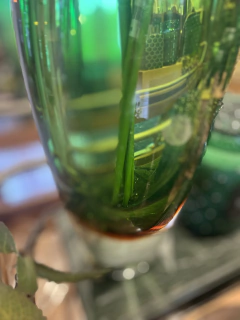 Vaso murano alto verde - Studio54decora