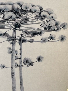 Quadro Araucária 1 - comprar online