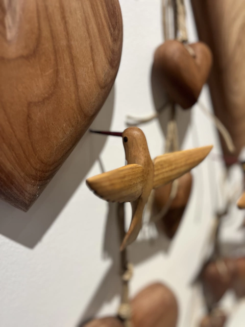 Beija flor G asa serrilhada