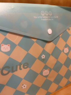 Pasta Porta Documentos A4 | aba verde - comprar online