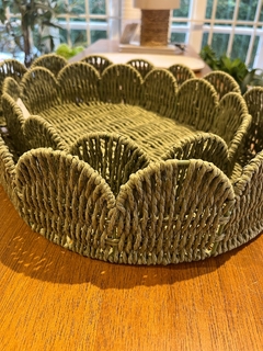 Bandeja ondas verde G na internet