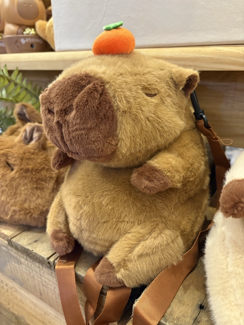Mochila pelúcia Capivara - Escura - comprar online