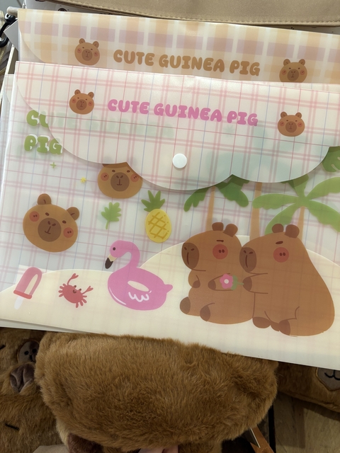 Pasta capivara na praia - comprar online