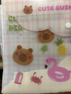 Pasta capivara na praia na internet