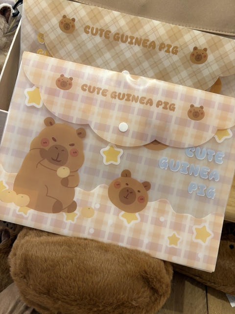 Pasta capivara estrelas - comprar online