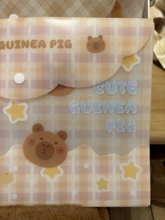 Pasta capivara estrelas - Studio54decora