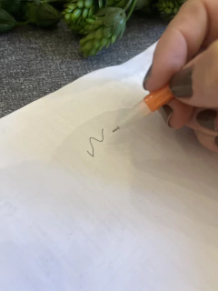 Imagem do Caneta Capivara Marrom claro