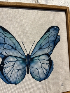 Quadro Piccola Farfalla 1 na internet