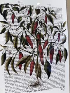 Quadro Pimenta na revista na internet