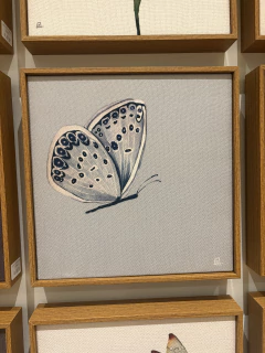 Quadro borboleta fundo claro - comprar online