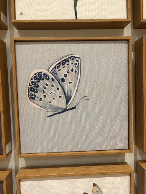 Quadro borboleta fundo claro - comprar online