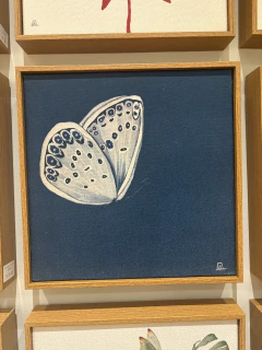 Quadro borboleta fundo escuro - comprar online