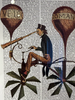 Quadro Bicicleta Voadora na revista na internet