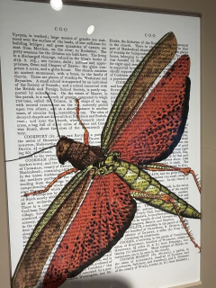 Quadro Cigarra na revista na internet