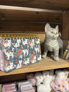 Planner Semanal gatinhos fundo esmeralda - Studio54decora