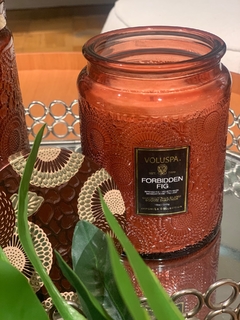 Vela pote vidro 100h Forbidden Fig - comprar online