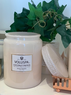 Vela pote vidro 100h Coconut Papaya - comprar online