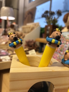 Caneta capivara na bóia na internet