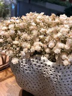 Ramalhete gypsophila off white
