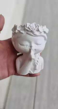 Macetas nenas en internet
