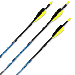 Flechas Avalon Classic Carbono Pack 6