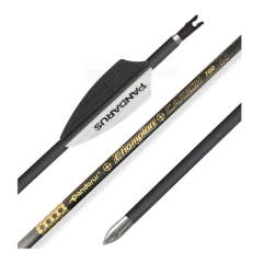 Flechas Pandarus Champion 4.2 Carbono de alta Rectitud: ± 0,001" Pack 12 en internet