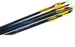 Flechas Avalon Classic Carbono Pack 6 - comprar online