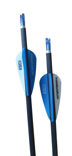Flechas de Carbono Pandarus Alpha Xt 4.2 Listas para usar! X3 - comprar online