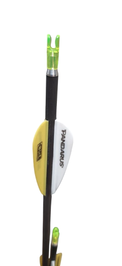 Flechas De Carbono Pandarus Alpha Xt 4.2 en internet