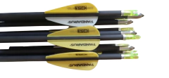 Flechas de Carbono Pandarus Alpha Xt 4.2 Listas para usar! X3 en internet