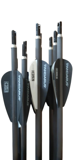 Flechas de Carbono Pandarus Alpha Xt 4.2 Listas para usar! X3
