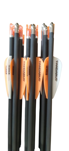 Flechas De Carbono Pandarus Alpha Xt 4.2