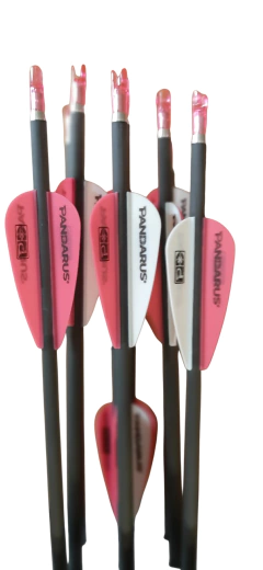 Imagen de Flechas de Carbono Pandarus Alpha Xt 4.2 Listas para usar! X3
