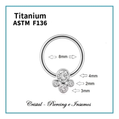 BCR con 4 zirconias planas en Titanio Grado Implante ASTM-F136 - comprar online