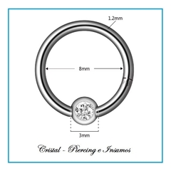 BCR (Ball Captive Ring) en internet