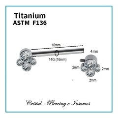 Barbell con multiples zirconias en Titanio grado implante ASTM-F136 en internet