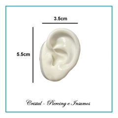 Oreja de silicona blanca en internet