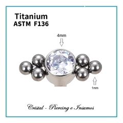 Top de zirconia y filigrana en Titanio Grado Implante ASTM-F136 en internet