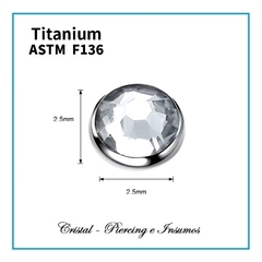 Top cristal (bezel set) en Titanio Grado Implante ASTM-F136 en internet