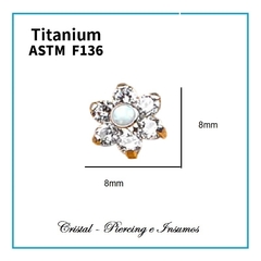 Top flor de zirconias y centro de opalo en Titanio Grado Implante ASTM-F136 en internet