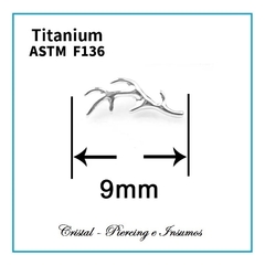 Top telaraña y ramita en Titanio Grado Implante ASTM-F136 en internet