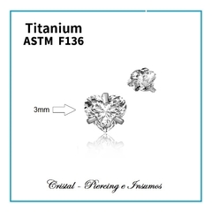 Top zirconias prong set formas en Titanio Grado Implante ASTM-F136 (varios modelos) - comprar online